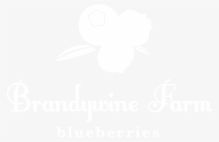 Blue Berry Png