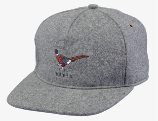 Pheasant Png