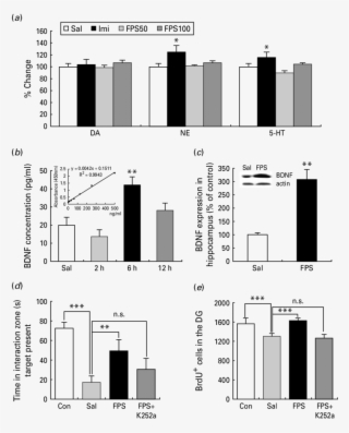 Bdnf Is Necessary For The Behavioural And Neurogenic