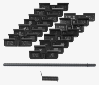 Picture Of Spikes Ejection Port Doors W/ Dsg Port Door