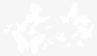 Nueeblanche-papillon -