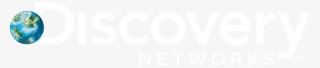 Disc Nets Rev 4c