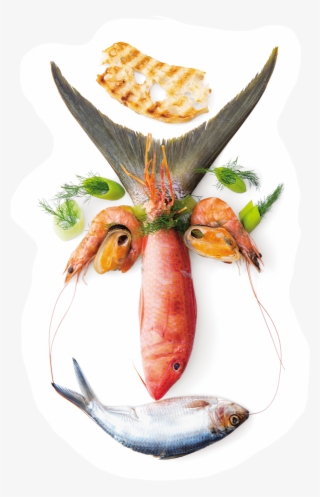 New Food Faces Book By Holland America Master Chef