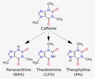 Caffeine Molecule Png