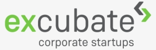Startup Due Diligence