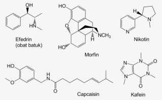 Because The Caffeine Extraction Using Ethanol A More