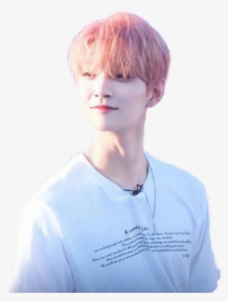 Joshua Hong Seventeen Kpop Aesthetic Carat Png Seventeen