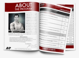 Shoulder Blitz - Inside