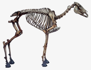 On His Tumblr, Jacques Posted The Above Picture Of