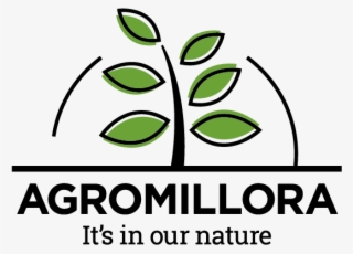 Agromillora