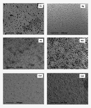 Tem-micrographs Of Different Metal And Metal Sulfide