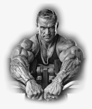 Lee Priest Dominar