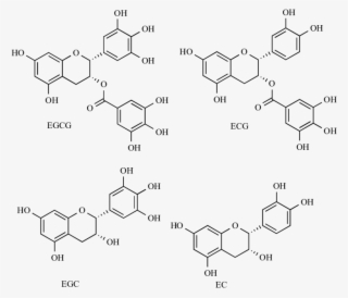 The Chemical Structure Of The Main Polyphenols Found