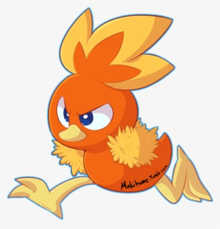 Torchic