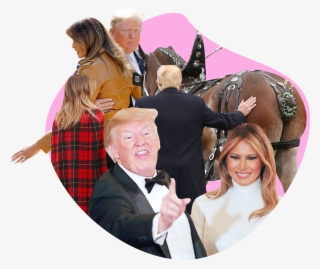 In Honor Of Donald And Melania's Wedding Anniversary,
