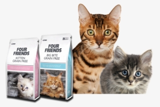 Premium Quality Cat Food