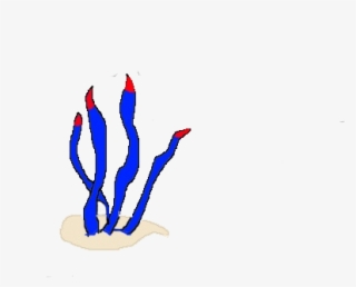 Atlantic Grass Concept Flora