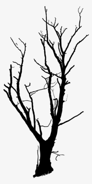 Trunk Tree Branch Snag Drawing