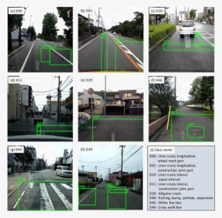 Sample Images Of Our Dataset