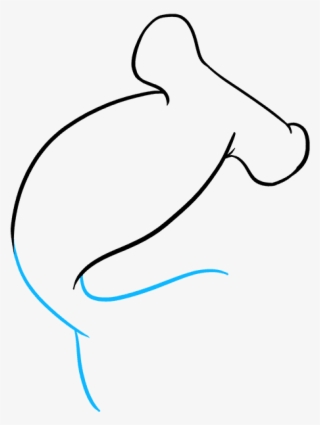 How To Draw Hammerhead Shark
