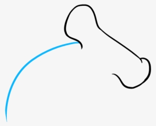 How To Draw Hammerhead Shark