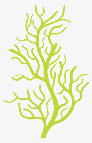 Vector Transparent Download Http Fazendoarte Minus