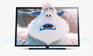 Directv Devices