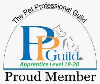 Browser Cookies Disabled