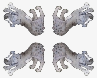 Hyena Png