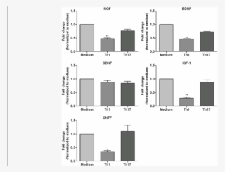 Effects Of Th1 And Th17 Derived Factors On The Expression