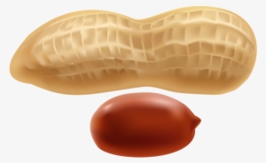 Png Clip Art Gallery - Peanut Clipart