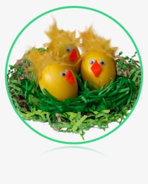 See What Is Included - Egg