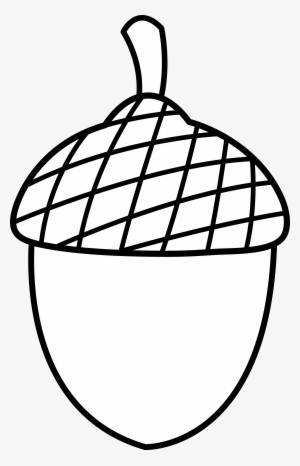 Acorn Line Art - Acorn Clipart Black And White