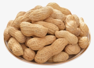 Peanut
