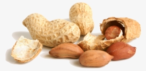 Peanut Png File - Peanuts Png Transparent