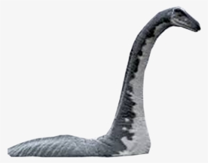 Background Lochness Monster - Lake Tahoe Loch Ness Monster