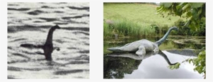 The Problems With The Loch Ness Monster - Alex Campbell Loch Ness Monster