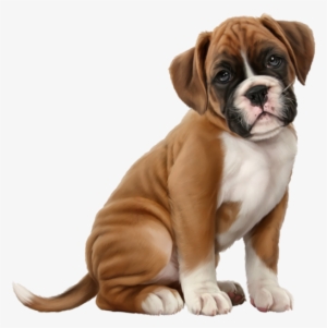 Pin By Lidia On Zwierzęta Verymany / Verymany Animals - 3d Tubes Dog