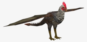 Cockatrice - Wiki
