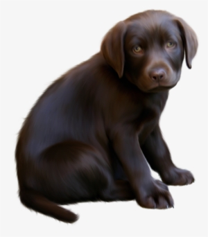 Clipart Download Cute Little With Blue - Brown Dog Transparent