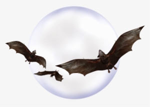 Bat-056 - Nasdaq:orig