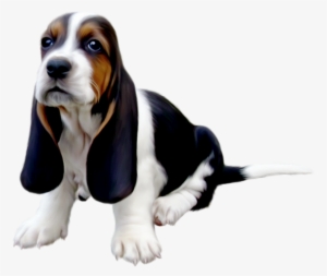 Vous Trouverez De Belles Images Pour Vos Blogs Cute - Basset Hound Dad Throw Blanket