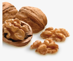 All Nuts Are Not Created Equal - All Nut