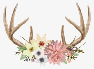 Watercolour - Antler