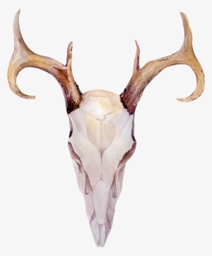 This Graphics Is Wood Grain Horns Transparent Decorative - 鹿 骷髏 頭