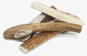 Prairie Dog Pet Products American Sourced Antlers - Driftwood