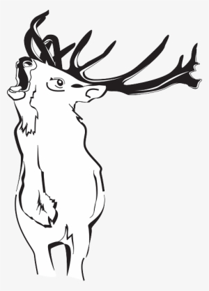 Outline, Deer, Art, Forest, Loud, Animal, Antlers - Deer