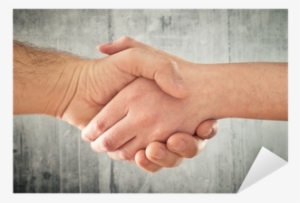 Man And Woman Shaking Hands - Handshake