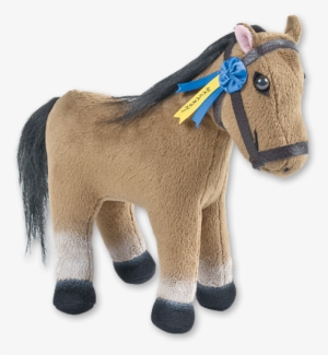 Macaroni - Shetland Pony