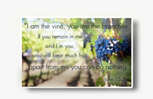 Worship-grapes - Journal Notebook Diary